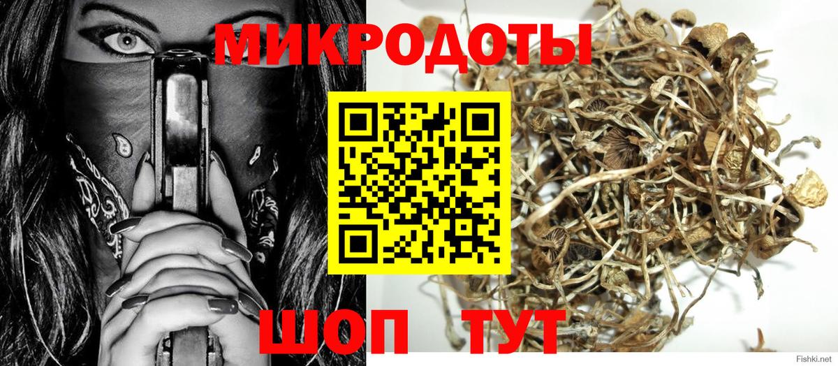 Галлюциногенные грибы Psilocybe Печора