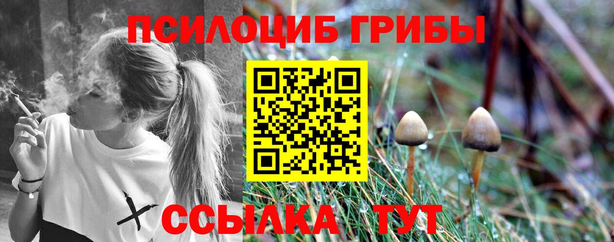 Псилоцибиновые грибы Psilocybe  Вход с VPN  Печора 